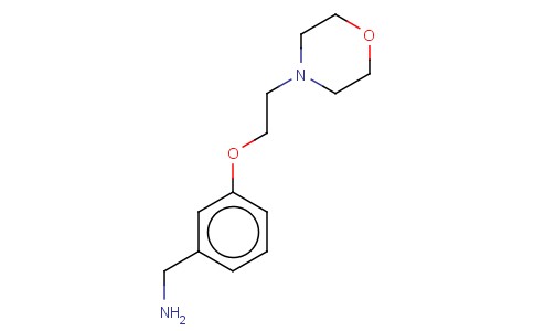 [3-(2-MORPHOLINOETHOXY)PHENYL]METHYLAMINE